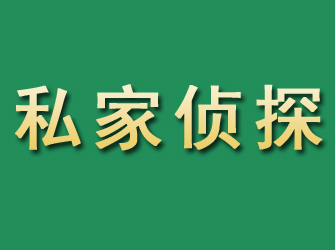 临西市私家正规侦探